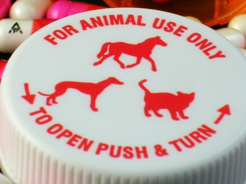 moving services moving supplies